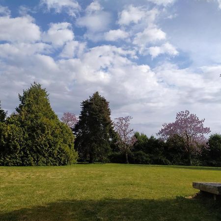 Apartament Domaine Moulin D' Elemiah Gémozac Zewnętrze zdjęcie