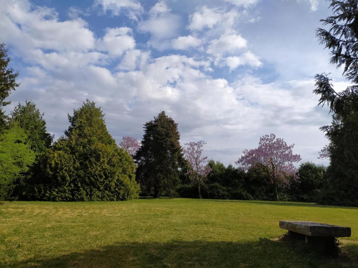 Apartament Domaine Moulin D' Elemiah Gémozac Zewnętrze zdjęcie